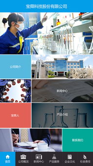 宝舜科技股份 立足郑州，引领移动互联网与软件开发新浪潮